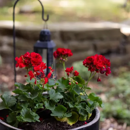 Lovely In With Parking Near Royal Baths Park By Renters